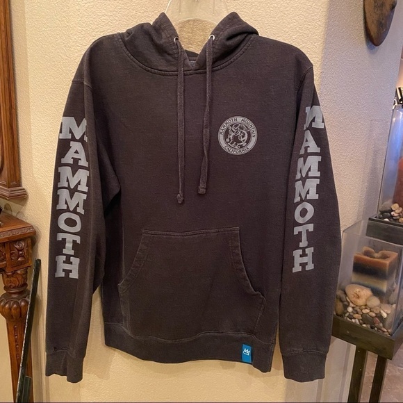 MAMMOTH Gray Hoodie Sweatshirt Size Small-Unisex - Picture 1 of 8
